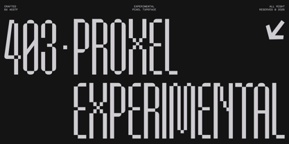 403 Proxel Font Poster 1