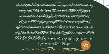 Filmakers Bright Font Poster 15