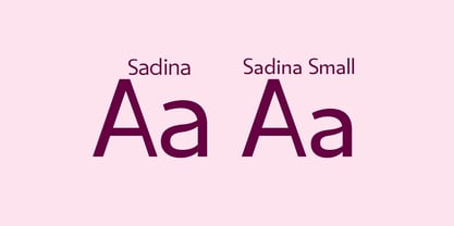 Sadina Small Font Poster 3