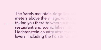 Sadina Small Font Poster 5