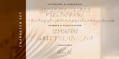 Allise Font Poster 8