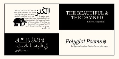 Mansa Text Font Poster 11