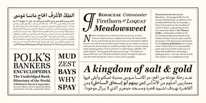 Mansa Text Font Poster 13