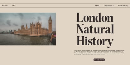 Night Queen. Font Poster 2