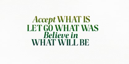 Night Queen. Font Poster 4