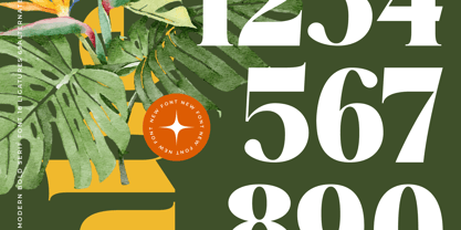 Mango Jungle Font Poster 11