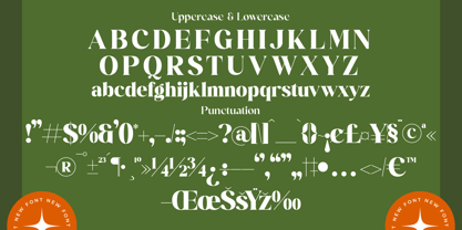 Mango Jungle Font Poster 14