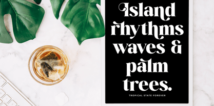 Mango Jungle Font Poster 8