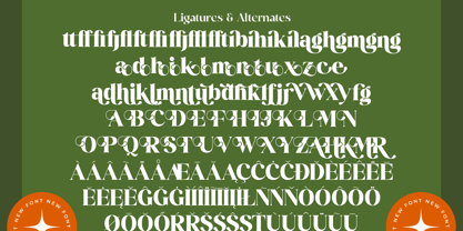 Mango Jungle Font Poster 15