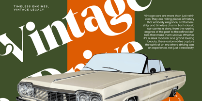 Mango Jungle Font Poster 6