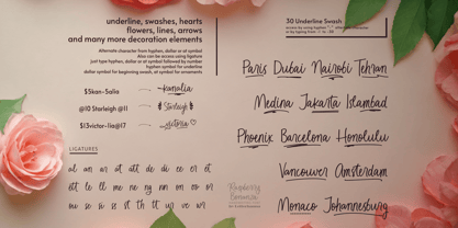 Raspberry Bonanza Font Poster 2