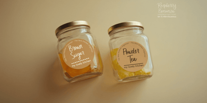 Raspberry Bonanza Font Poster 6