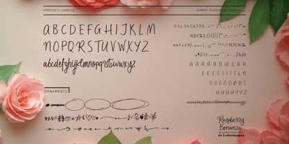 Raspberry Bonanza Font Poster 3