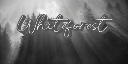 Sodiger Font Poster 3