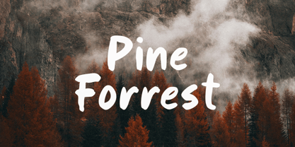 Oxford Vibes Font Poster 7