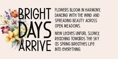 Spring Echoes Font Poster 4