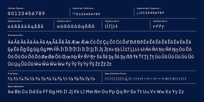 Arasi Font Poster 6