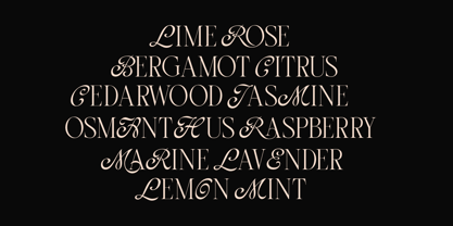 Grimlins Font Poster 6