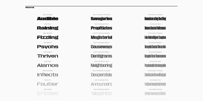 Macrosoma Grotesque Stencil Font Poster 8