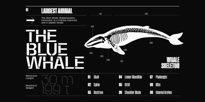 Macrosoma Grotesque Stencil Font Poster 5