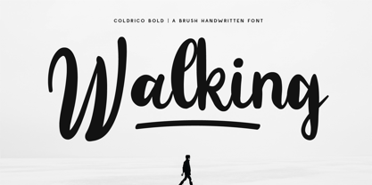 CF Caldrico Bold Font Poster 2