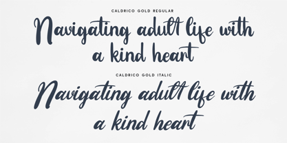 CF Caldrico Bold Font Poster 5