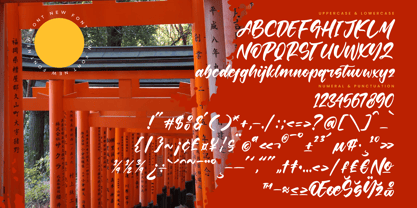 Shinobi Morning Font Poster 14