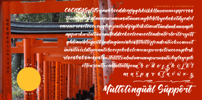 Shinobi Morning Font Poster 15
