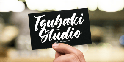 Shinobi Morning Font Poster 12