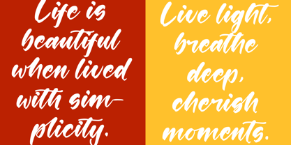 Shinobi Morning Font Poster 8