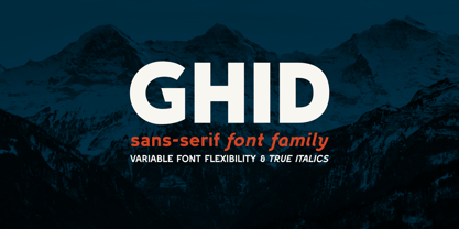Ghid Font Poster 1