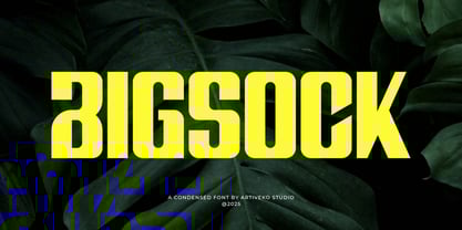 Bigsock Font Poster 1