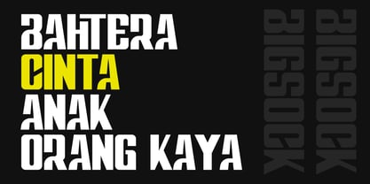 Bigsock Font Poster 3