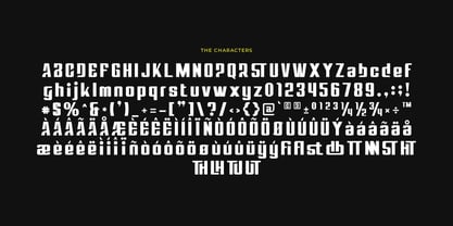 Bigsock Font Poster 2