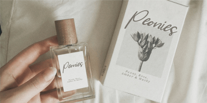 CF Tranquil Wave Font Poster 7