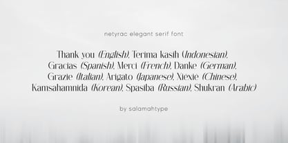 Netyrac Font Poster 8
