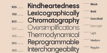 SLTF Skyling Font Poster 5