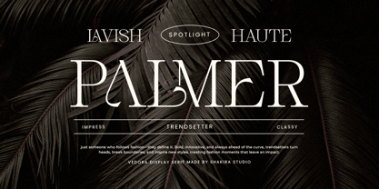 Vedora Font Poster 7