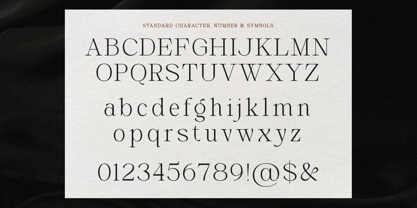 Vedora Font Poster 9