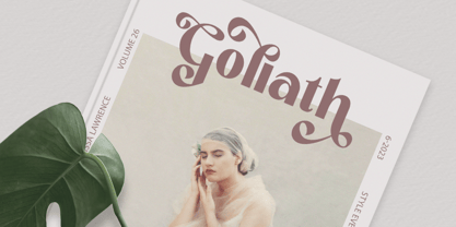 Loving Romance Font Poster 8