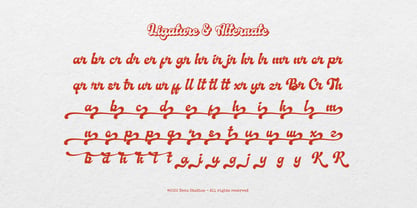 Karstelo Font Poster 12