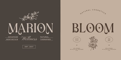 Botanics Display Font Poster 5