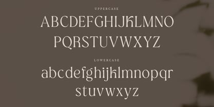 Botanics Display Font Poster 8