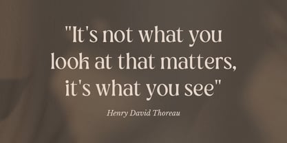 Botanics Display Font Poster 7