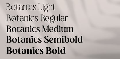 Botanics Display Font Poster 2