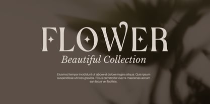 Botanics Display Font Poster 4