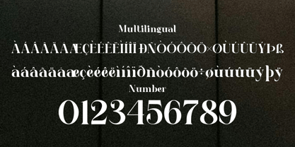 Aciro Grande Font Poster 11