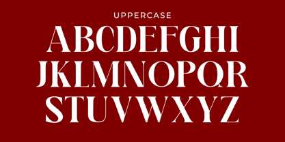 Aciro Grande Font Poster 10