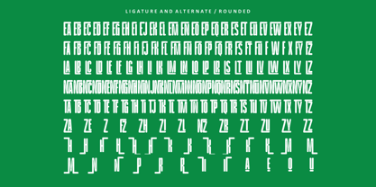 WS Lowen Font Poster 2