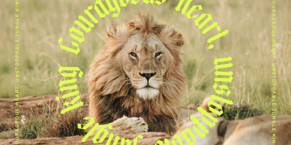 Midnights Kings Font Poster 11